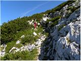 Planina Podvežak - Veliki vrh (Veža)